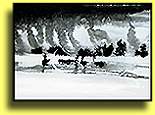 Snowstorm