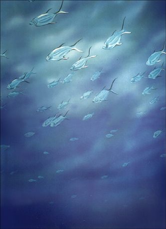 fish underwater