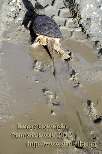  CLICK HERE TO CONTINUE THE WALK 